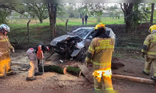 Carro bate em árvore e motorista é socorrido por família em Apucarana